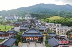 中国（庐山）杏林文化园迎海外来客 话中医药海外传播